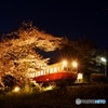 小湊鉄道　飯給駅　もう一つの夜桜撮影②（完）