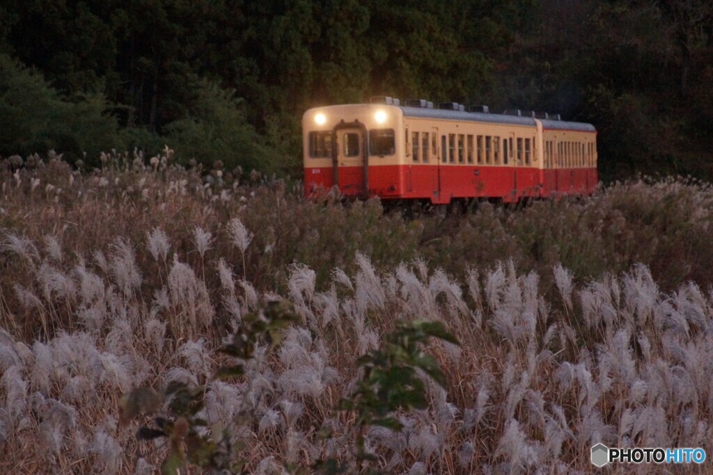 伝統カラーの小湊鉄道のキハ200！