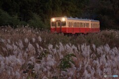 伝統カラーの小湊鉄道のキハ200！