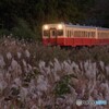 伝統カラーの小湊鉄道のキハ200！