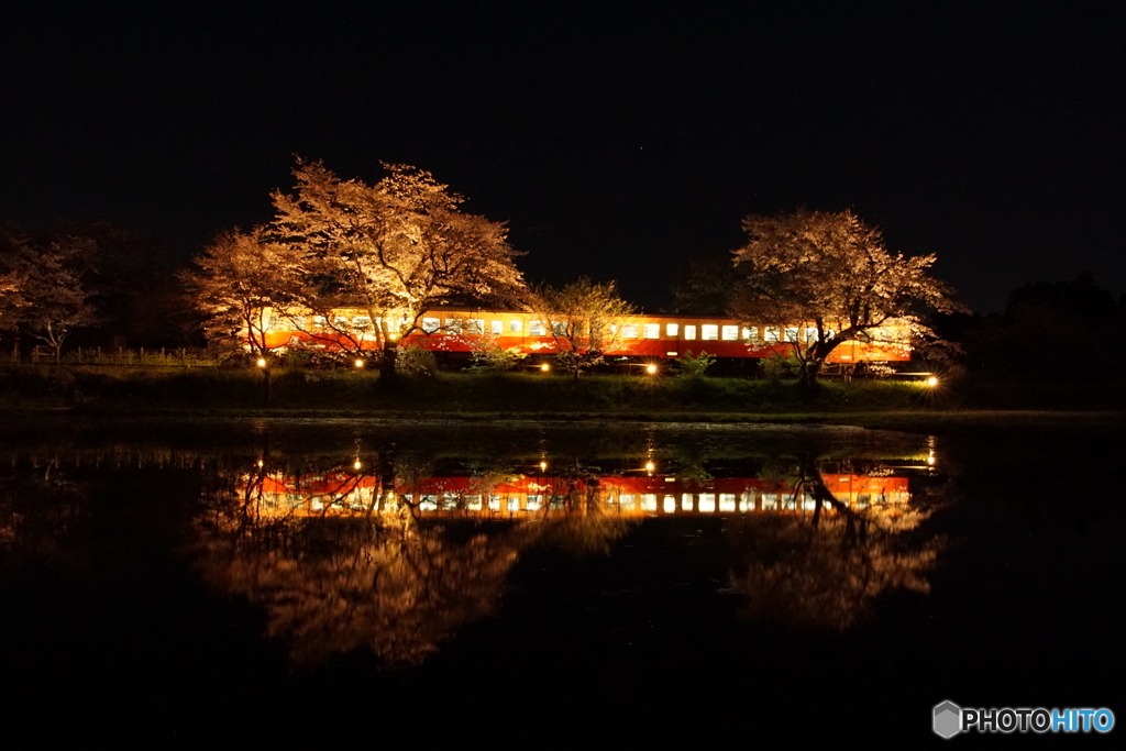 小湊鉄道の飯給夜桜水鏡！