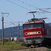 羽越本線　長大編成コンテナ貨物列車！