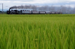 ばんえつ物語号力走