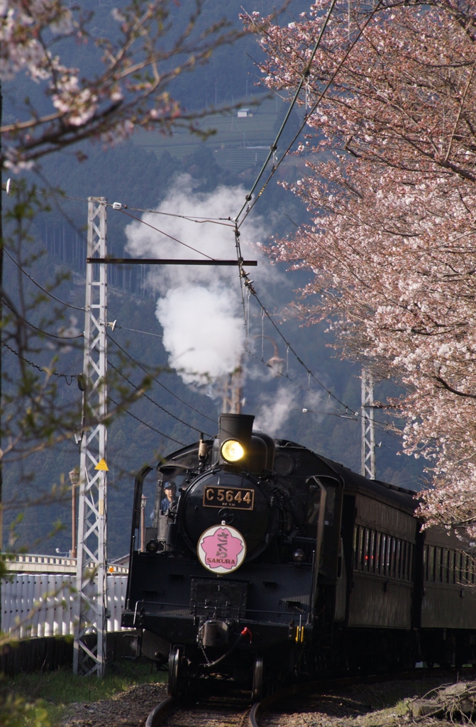 もうすぐ見れる大井川鉄道「かわね路」号！①