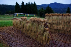 只見線と憧れの「ハサガケ風景」！