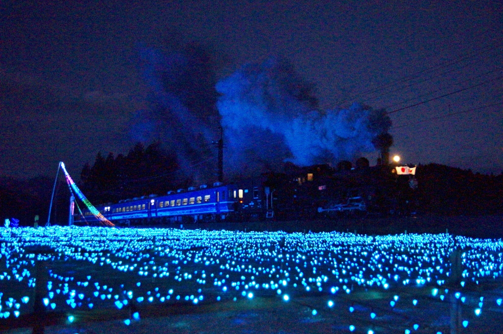 イルミネーションの中の祝賀列車！