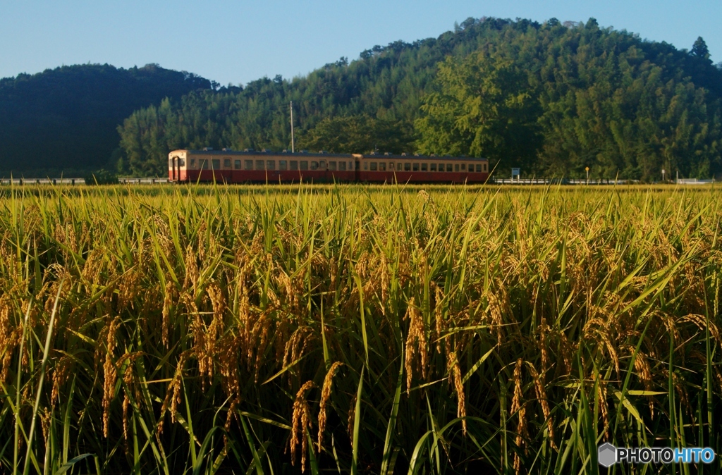 小湊鉄道　上総久保駅！