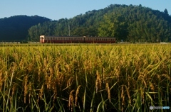 小湊鉄道　上総久保駅！