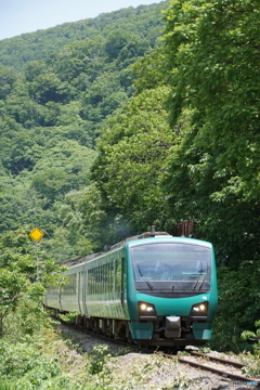 リゾートしらかみ号！