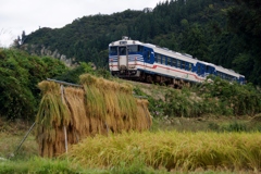 この時季にこの光景？①
