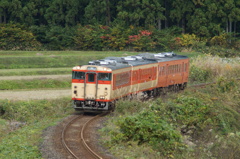 臨時イベント列車