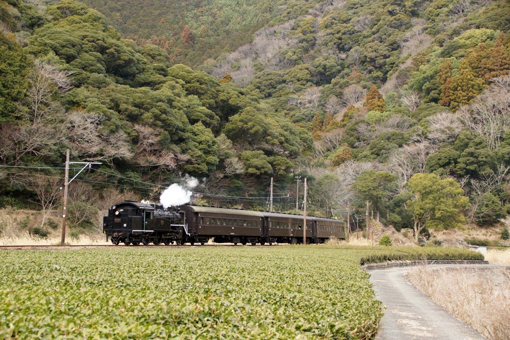 大井川鉄道　SL「かわね路」号逆向き運転！①