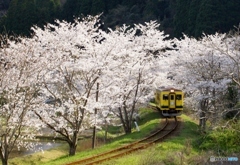 いすみ鉄道の早期復旧を願う①～⑦の③
