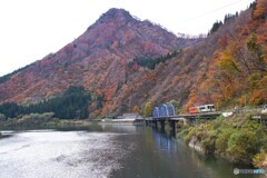 錦秋の第８橋梁！