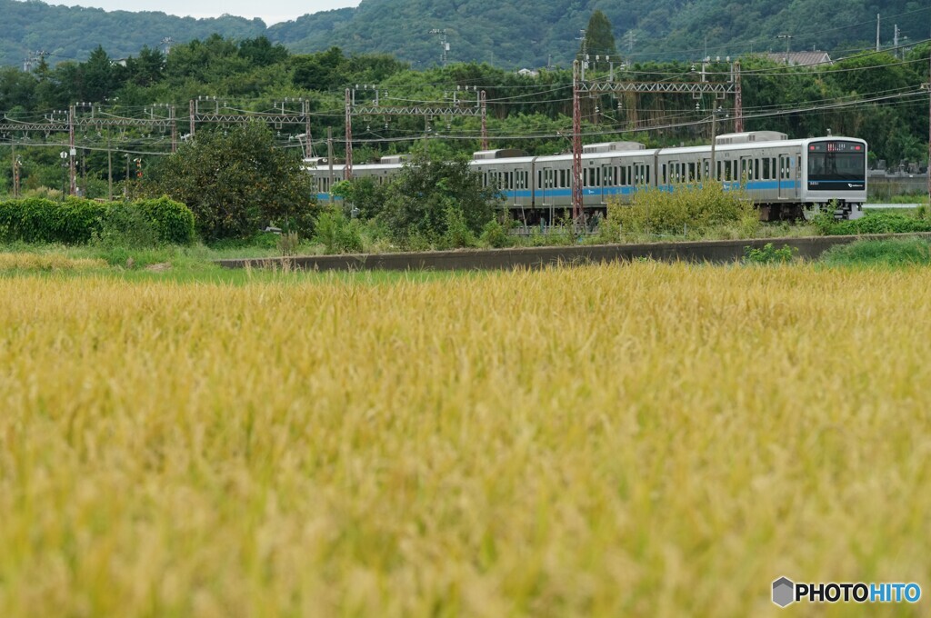 田園風景を走る小田急線！