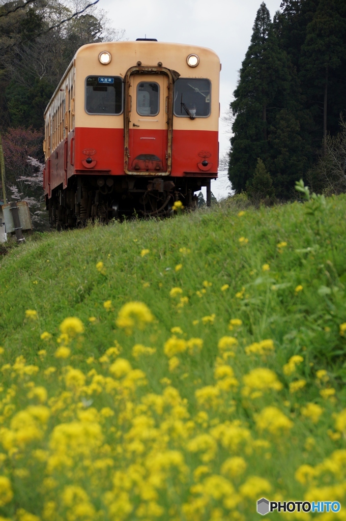 小湊鉄道　高滝築堤！②（完）