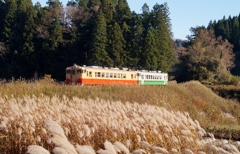 小湊鉄道の里山！①