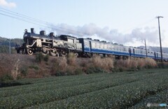 茶畑を走るC10-8型と12系客車！