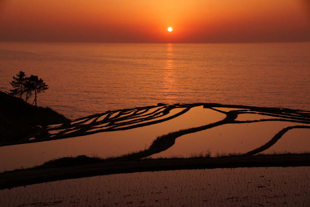 能登半島「千枚田」夕陽　ホワイトバランス　日影強調モード