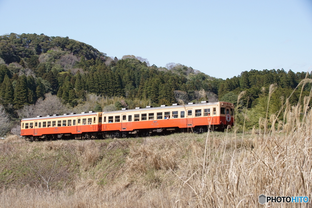 房総の里山風景！