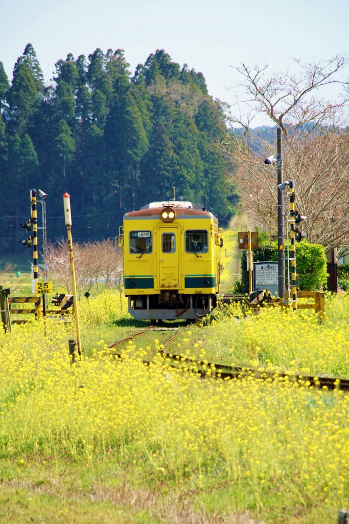 新田野駅出発！