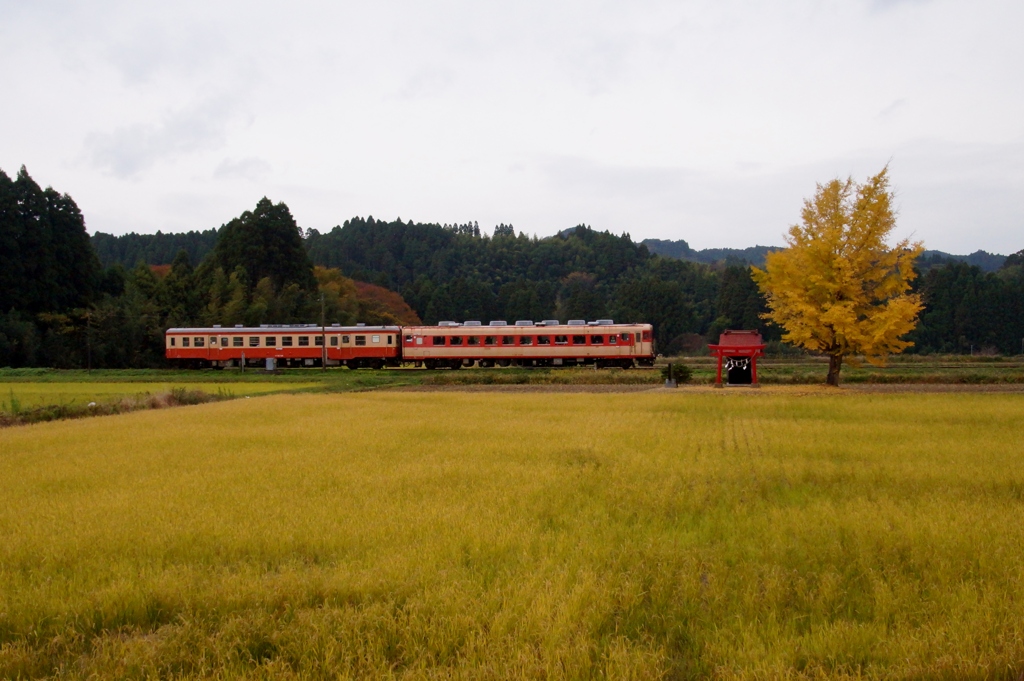 銀杏と祠のある里山風景！②