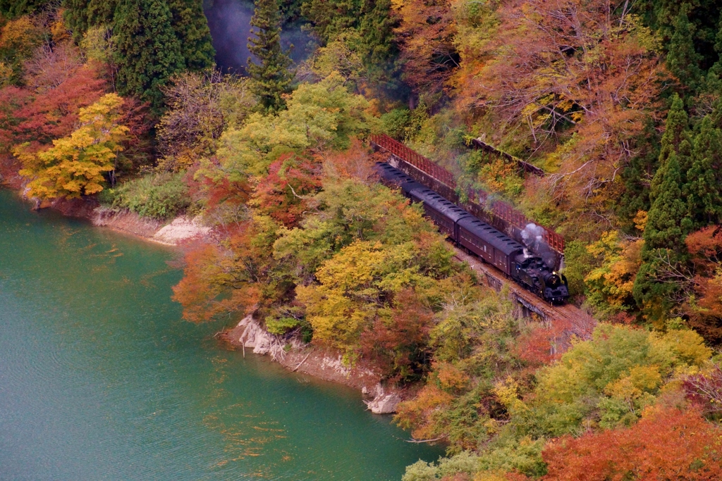 早戸俯瞰の紅葉