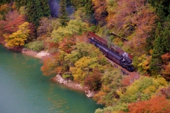 早戸俯瞰の紅葉