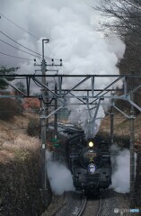 SL「大樹」新春の驀進！