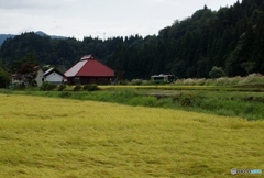 奥会津　田園風景！