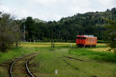 ローカルムード満載！⑪