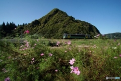 入広瀬の富士山　鷹町山の麓を走る単行キハ！