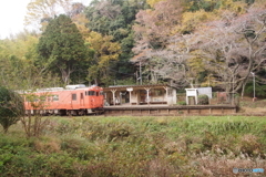 「隣りのトトロ」がいる駅に到着するキハ40！