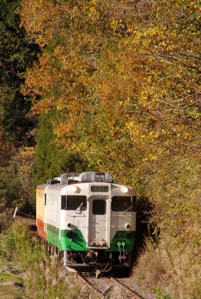 小湊鉄道のキハ40！