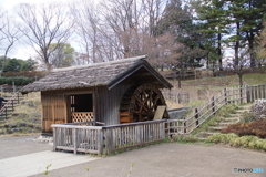 ポツンと水車小屋！