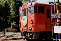 小湊鉄道　キハ40「サロベツ」号と百日紅！