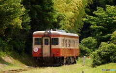 キハ52バックビュー！