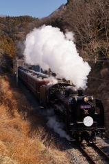 新春の秩父鉄道パレオエクスプレス！②