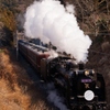 新春の秩父鉄道パレオエクスプレス！②