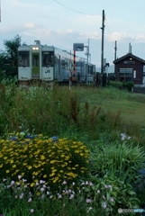 早朝の薮神駅！
