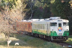 キハ40が往く！