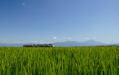 会津高田寺崎地区の真夏！