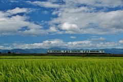 舞台田の夏！