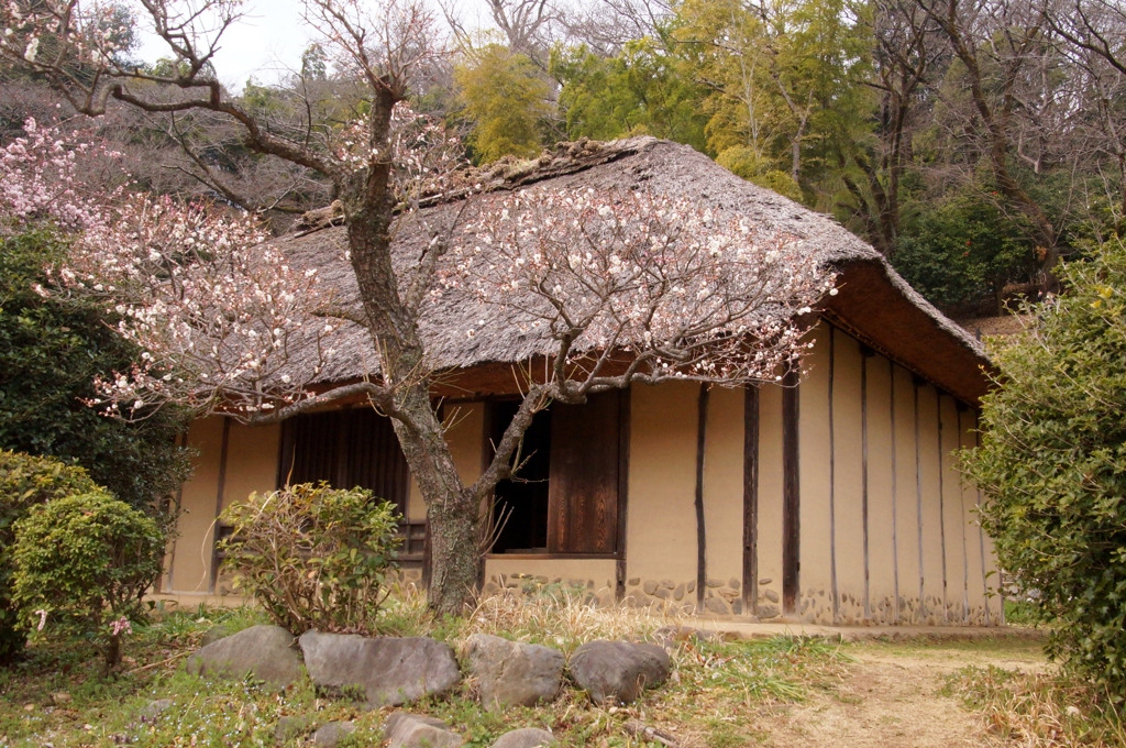 東京にも里山が…②