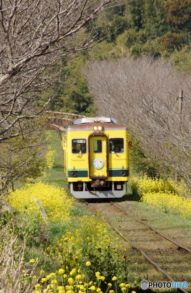 2023いすみ鉄道　城見ヶ丘！
