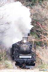 ばんえつ物語号　試運転