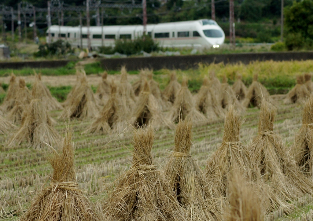 小田急ロマンスカーにこの光景似合います？②