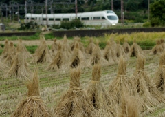 小田急ロマンスカーにこの光景似合います？②