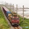 EF81牽引日本縦貫貨物列車！