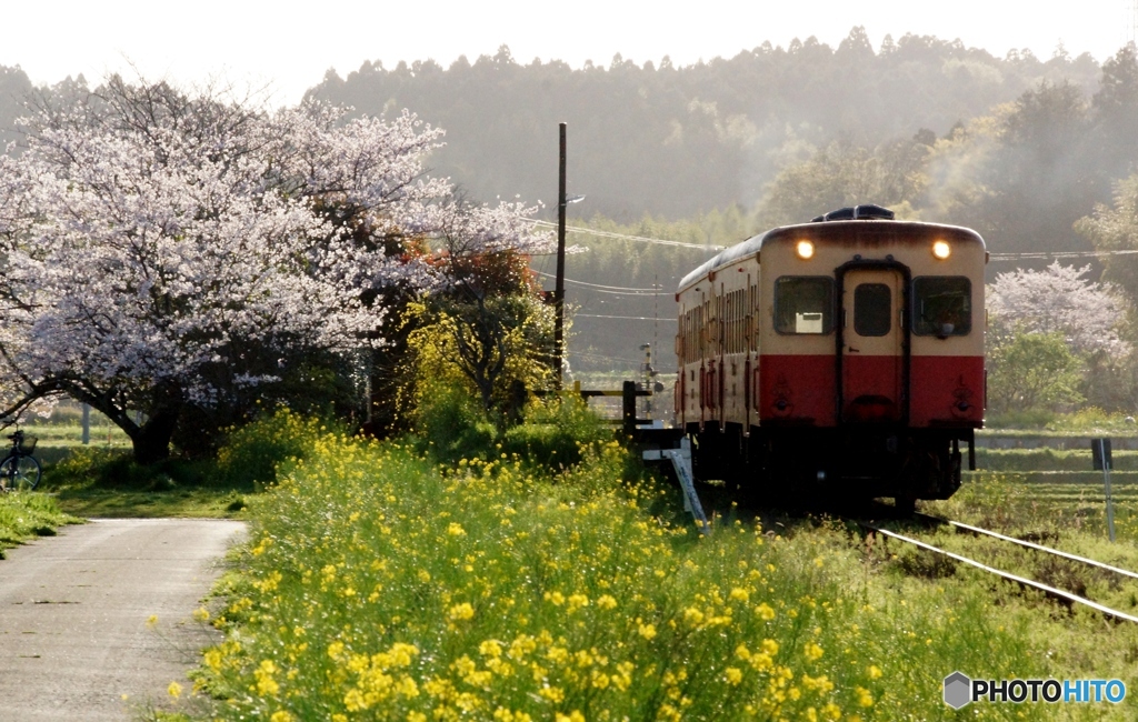 小湊鉄道　上総川間駅出発！